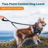 PetBonus Two Point Control Dog Leash, Works with No Pull Harnesses, No Tangle Training Leashes, Soft Padded and Reflective Walking Lead, Converts to Single Lead for Medium Large Dogs